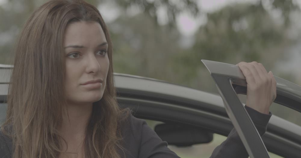 REDLog <span>(image by Alucinor Productions)</span>